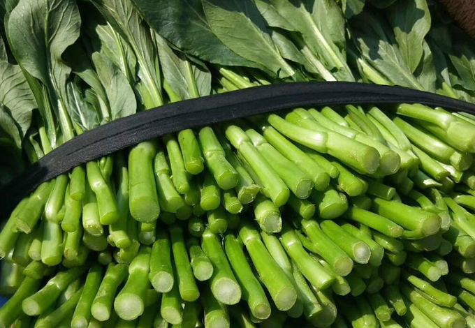 新鮮蔬菜青菜配送