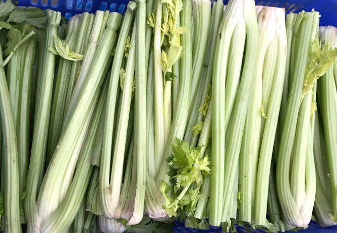 食堂蔬菜芹菜配送